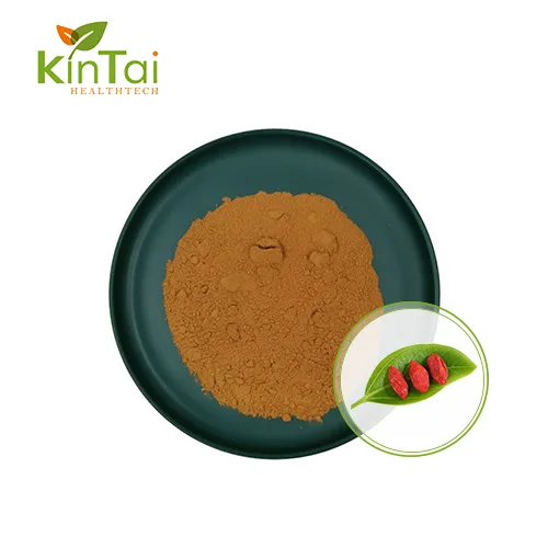 Goji Extract Powder